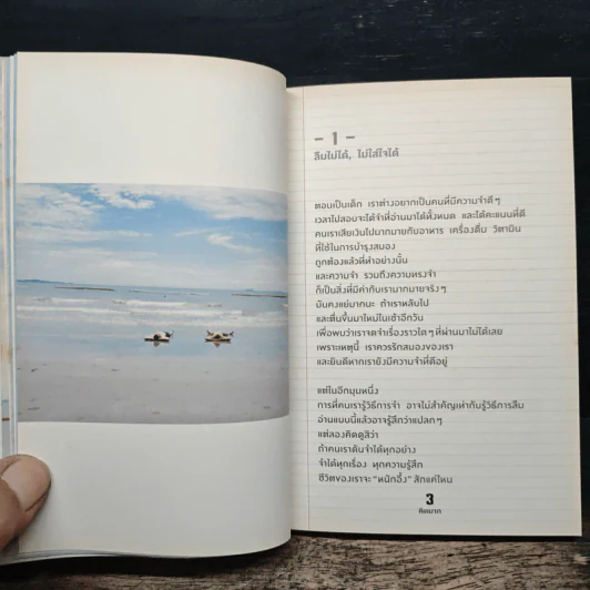ไม่มีความเศร้าที่สูญเปล่าบนโลกใบนี้ - คิดมาก รูปที่ 8