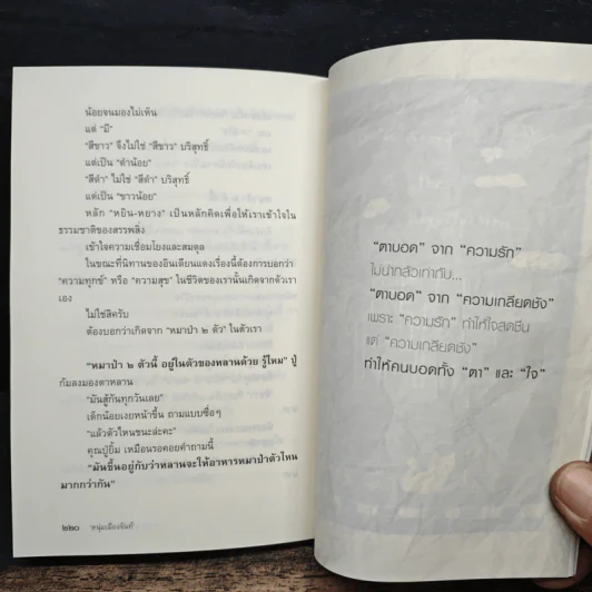 กรอบที่ไม่มีเส้น - หนุ่มเมืองจันท์ รูปที่ 9