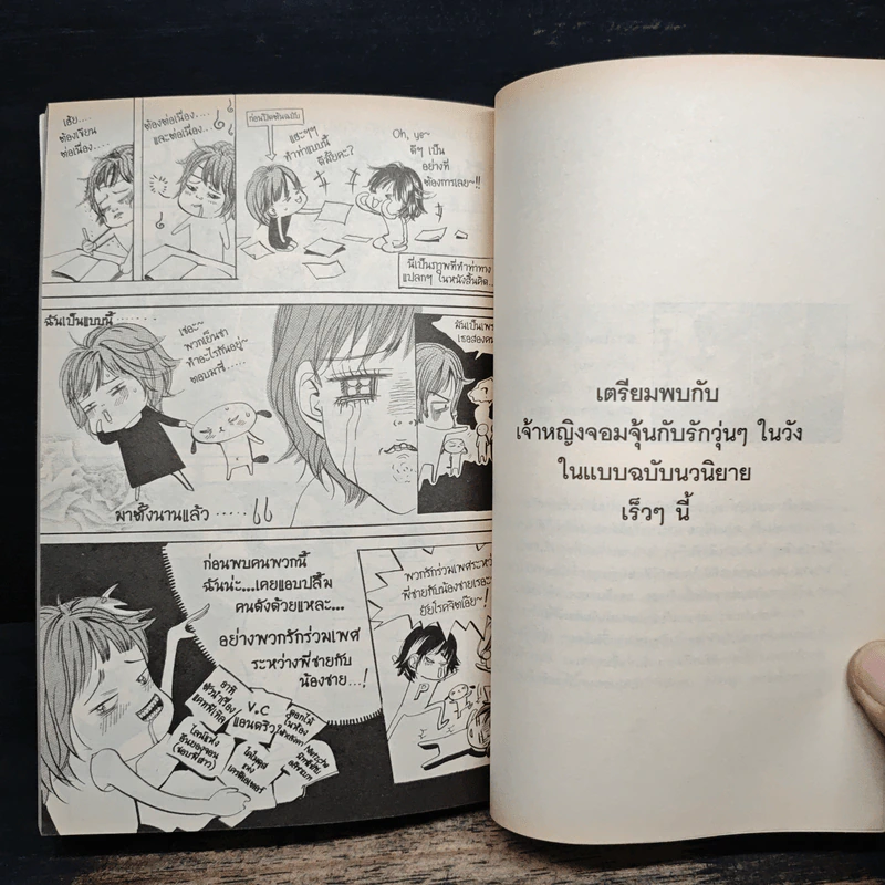การ์ตูน เจ้าหญิงจอมจุ้นกับรักวุ่นๆในวัง 3 รูปที่ 8