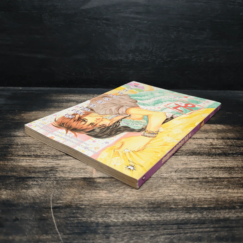 การ์ตูน เจ้าหญิงจอมจุ้นกับรักวุ่นๆในวัง เล่ม 12 รูปที่ 5