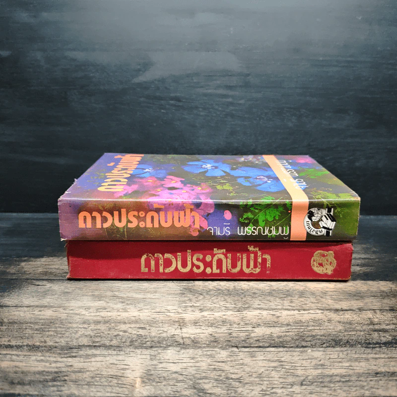 ดาวประดับฟ้า 2 เล่มจบ - จามรี พรรณชมพู รูปที่ 3