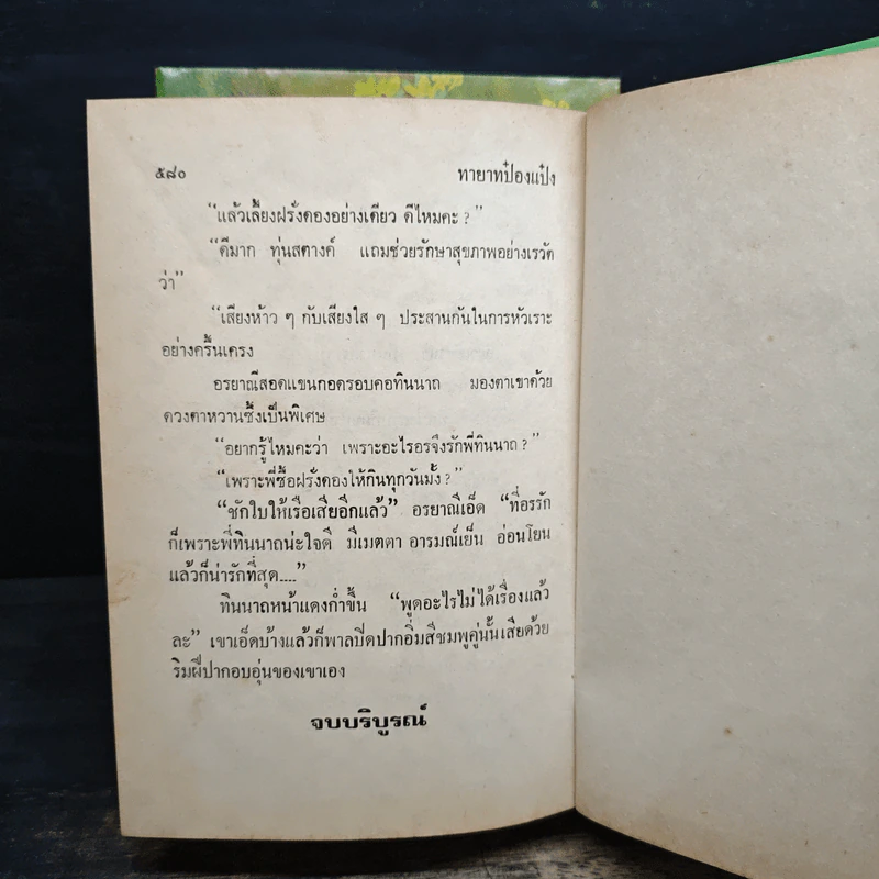 ทายาทป๋องแป๋ง 2 เล่มจบ - นลิน บุษกร รูปที่ 9