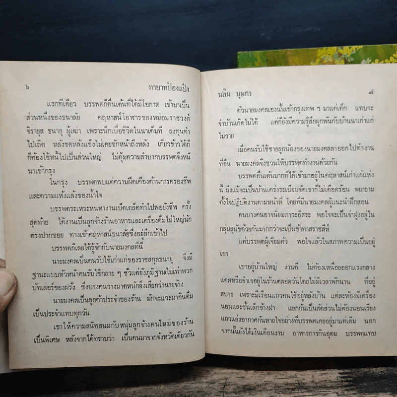 ทายาทป๋องแป๋ง 2 เล่มจบ - นลิน บุษกร รูปที่ 8