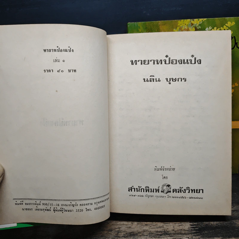 ทายาทป๋องแป๋ง 2 เล่มจบ - นลิน บุษกร รูปที่ 6