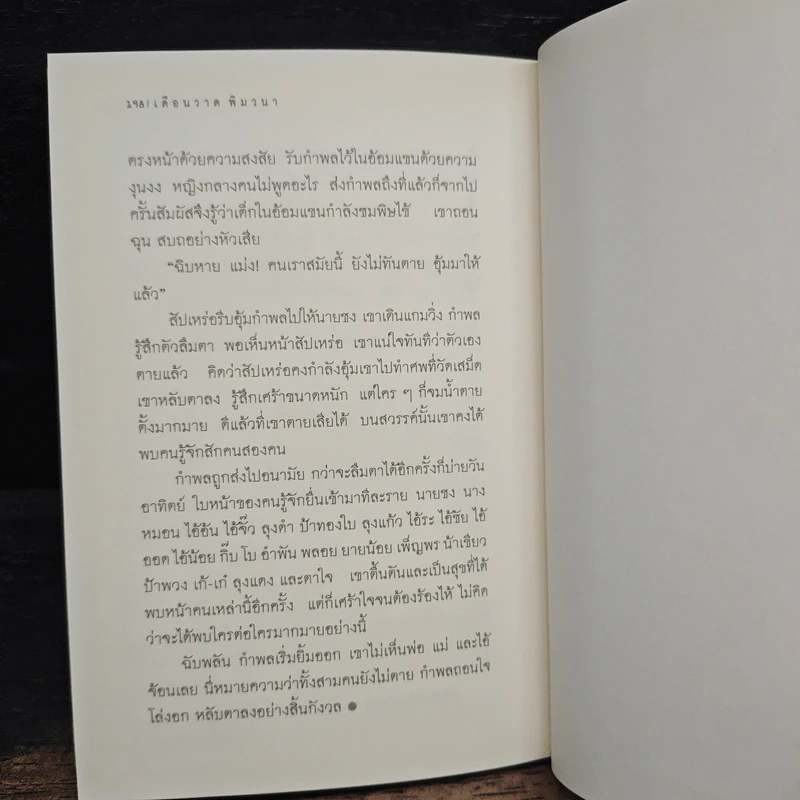 ช่างสำราญ - เดือนวาด พิมวนา รูปที่ 9