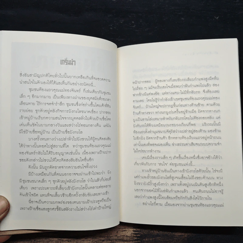 ช่างสำราญ - เดือนวาด พิมวนา รูปที่ 8