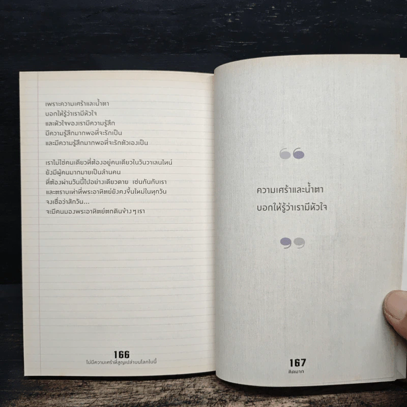 ไม่มีความเศร้าที่สูญเปล่าบนโลกใบนี้ - คิดมาก รูปที่ 9