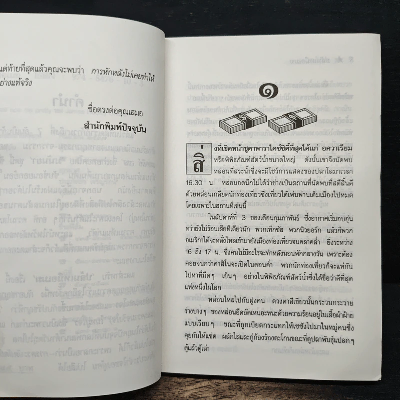 ปล้นเหนือเมฆ - มนันยา รูปที่ 7