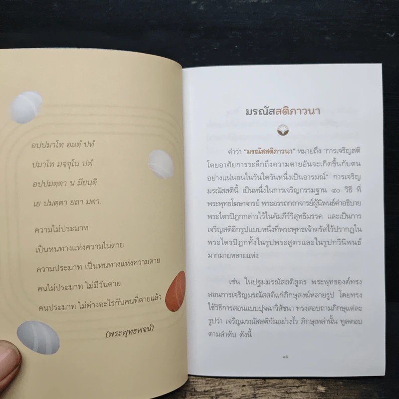 ชั่วโมงสุดท้าย - พระเมธีวชิโรดม (ว.วชิรเมธี) รูปที่ 8