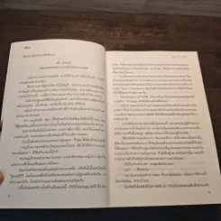 แผนก่อการรัก - สิริณ รูปที่ 8