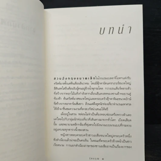 รุ่งอรุณ - กิ่งฉัตร รูปที่ 7