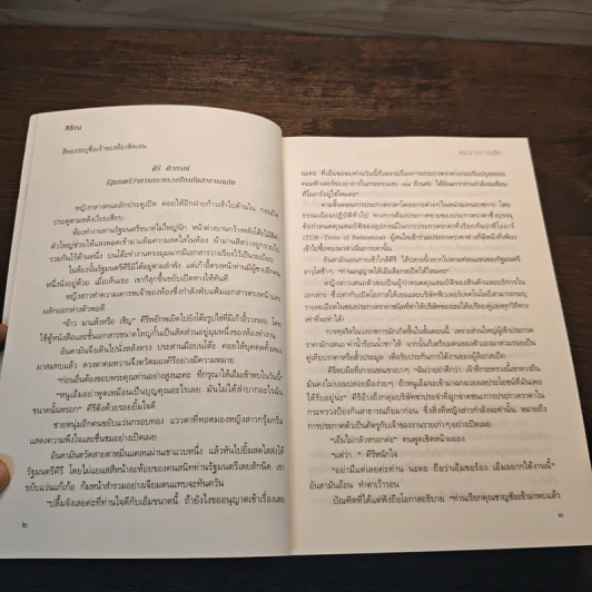 แผนก่อการรัก - สิริณ รูปที่ 8