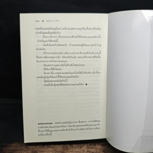 แสงเงารัก - ดวงตะวัน รูปที่ 8