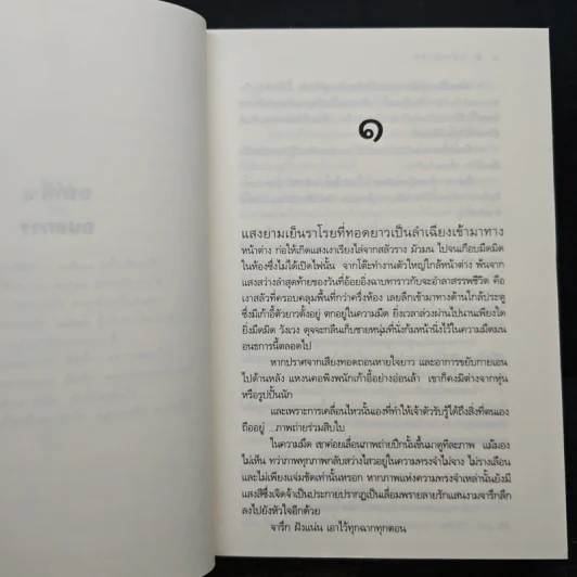 แสงเงารัก - ดวงตะวัน รูปที่ 7