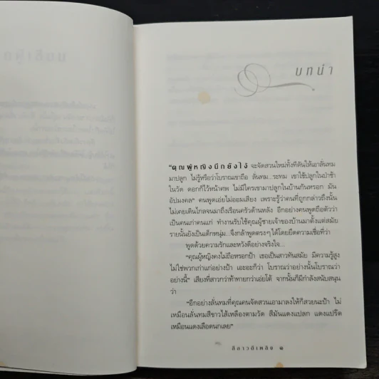 ลีลาวดีเพลิง - กิ่งฉัตร รูปที่ 7