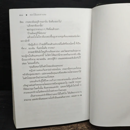 ดอกไม้และสายลม - ดวงตะวัน รูปที่ 8
