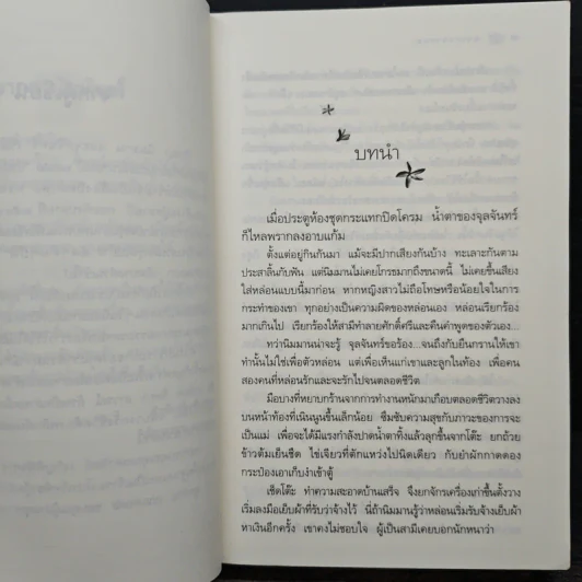 พรายปรารถนา - กิ่งฉัตร รูปที่ 7
