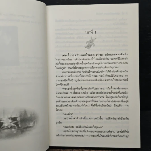 สุดฟากฟ้าฝัน - ซูซาน อลิซาเบธฯ รูปที่ 7