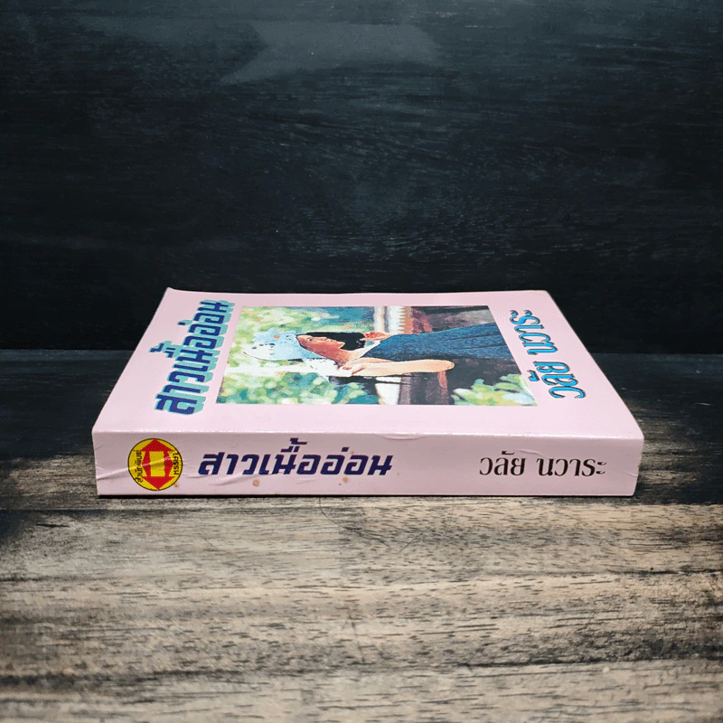 สาวเนื้ออ่อน - วลัย นวาระ รูปที่ 3