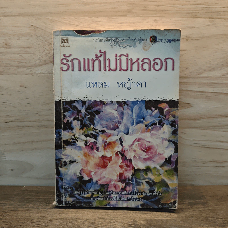 รักแท้ไม่มีหลอก เล่ม 1 - แหลม หญ้าคา รูปที่ 1