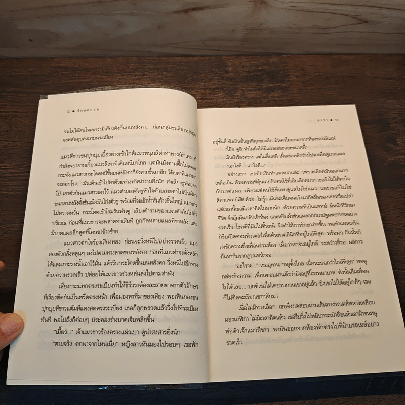 รักลอยลม - ณารา รูปที่ 8