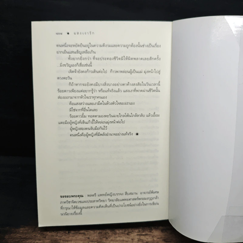 แสงเงารัก - ดวงตะวัน รูปที่ 8