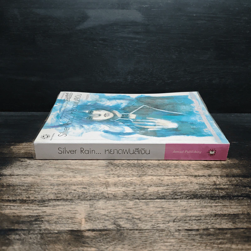 Silver Rain หยาดฝนสีเงิน - moana รูปที่ 3