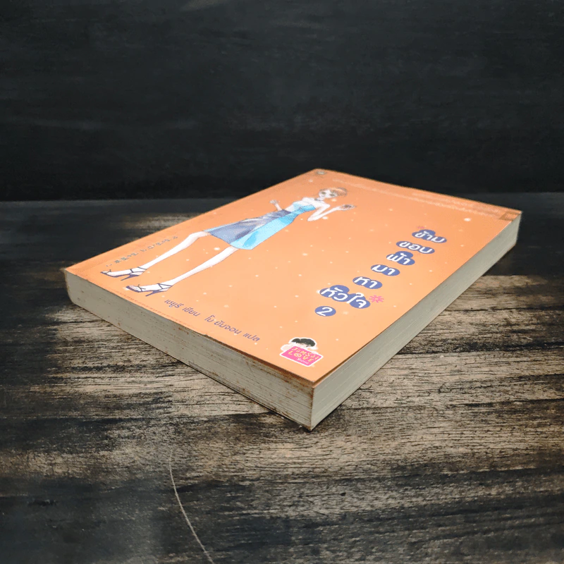 ข้ามขอบฟ้ามาหาหัวใจ เล่ม 2 - เชยูรี รูปที่ 4