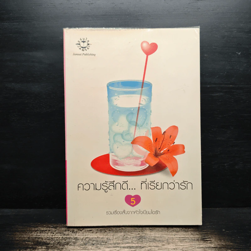 ความรู้สึกดี...ที่เรียกว่ารัก 5 รูปที่ 1