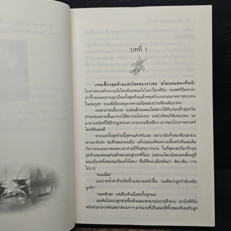 สุดฟากฟ้าฝัน - ซูซาน อลิซาเบธฯ รูปที่ 7