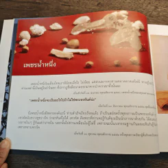 ไม่มาเกิดมาตายเรียกว่า ชาติสุดท้าย - หลวงตาพระมหาบัว รูปที่ 9