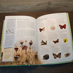 Usborne Naturetrail : Insects & other creepy-crawlies รูปที่ 8
