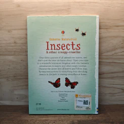 Usborne Naturetrail : Insects & other creepy-crawlies รูปที่ 5