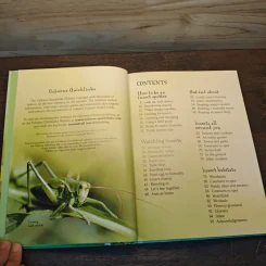 Usborne Naturetrail : Insects & other creepy-crawlies รูปที่ 6