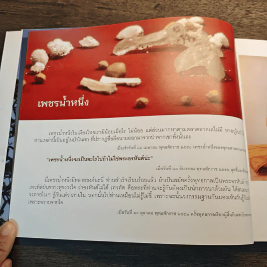ไม่มาเกิดมาตายเรียกว่า ชาติสุดท้าย - หลวงตาพระมหาบัว รูปที่ 9