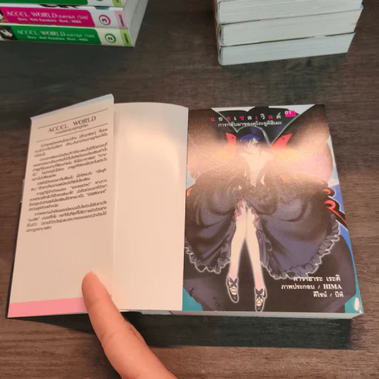 Accel World แอคเซล เวิลด์ เล่ม 1-20 รูปที่ 8