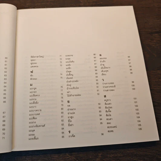 ผักแถวพื้น : แกงแถวบ้าน รูปที่ 9