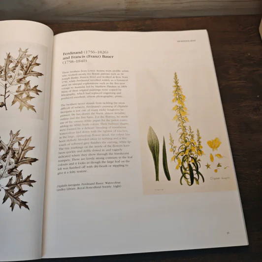 Botanical Illustration - Siriol Sherlock รูปที่ 9