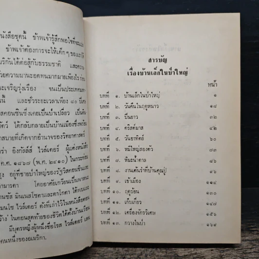 บ้านเล็กในป่าใหญ่ รูปที่ 7