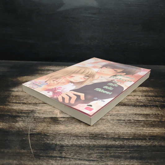 Deadline ขีดเส้นตายบอกหัวใจยังไงก็ใช่เธอ - silly sis รูปที่ 4