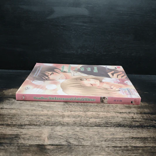 Deadline ขีดเส้นตายบอกหัวใจยังไงก็ใช่เธอ - silly sis รูปที่ 3