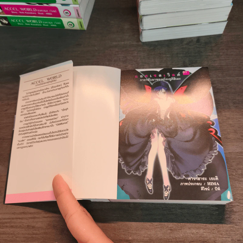 Accel World แอคเซล เวิลด์ เล่ม 1-20 รูปที่ 8