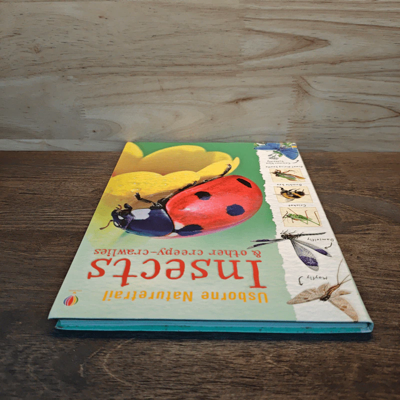 Usborne Naturetrail : Insects & other creepy-crawlies รูปที่ 4