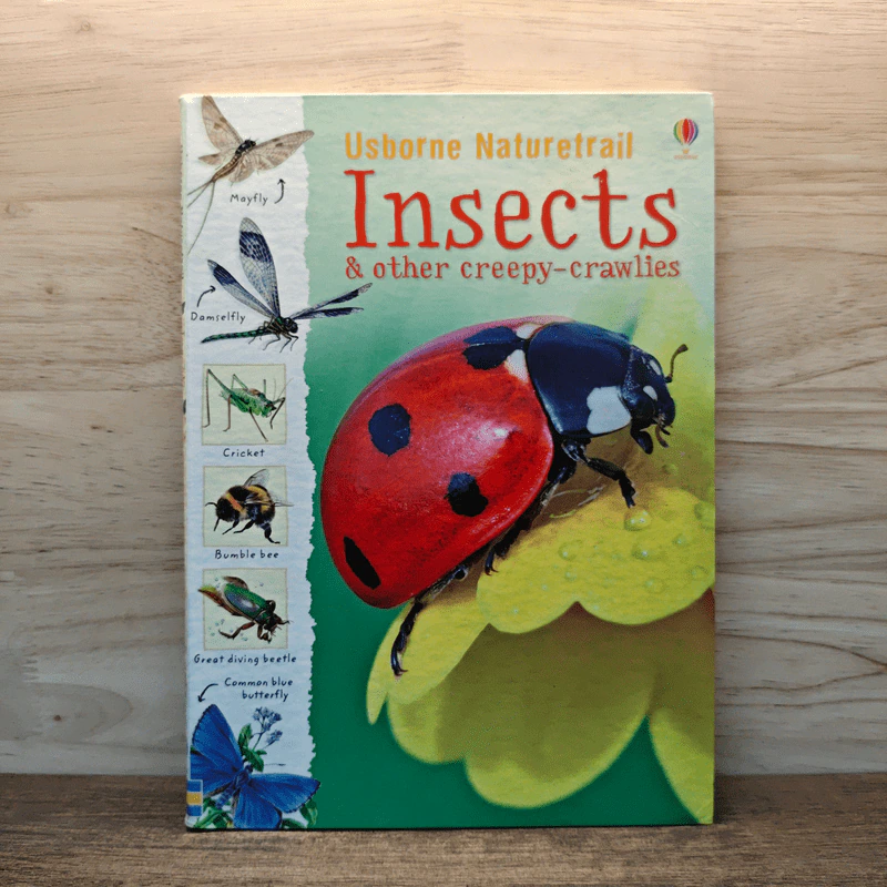Usborne Naturetrail : Insects & other creepy-crawlies รูปที่ 1