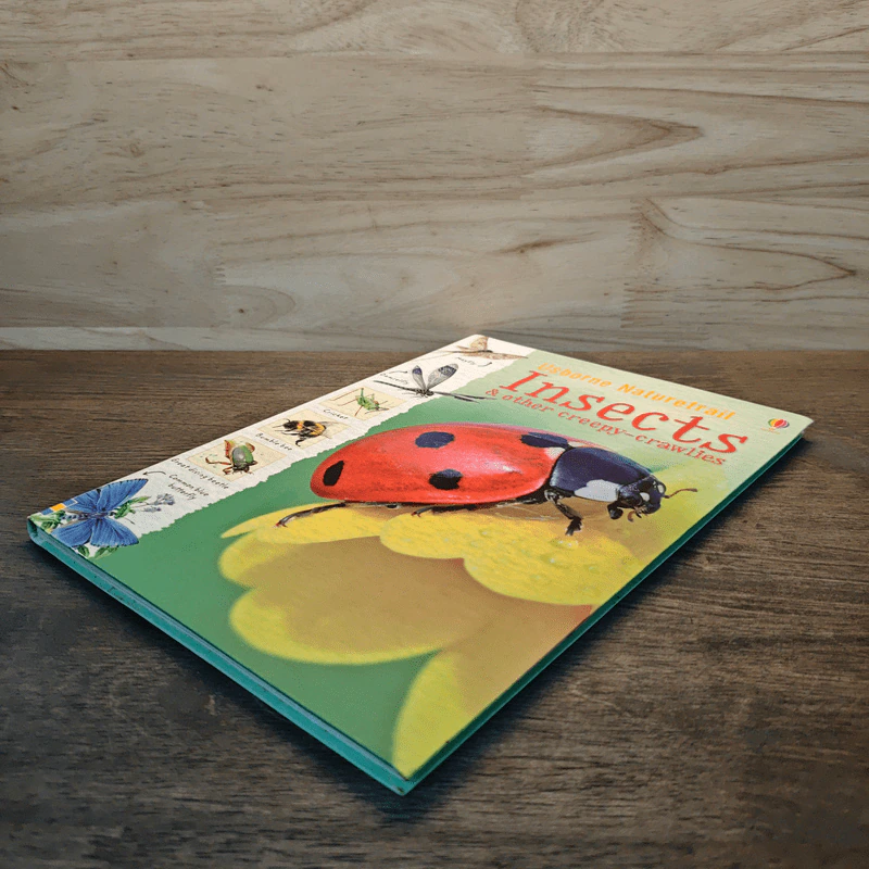 Usborne Naturetrail : Insects & other creepy-crawlies รูปที่ 3