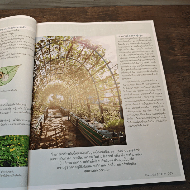 บ้านและสวน Garden & Farm สนุกกับสวนเกษตรอินทรีย์ รูปที่ 9