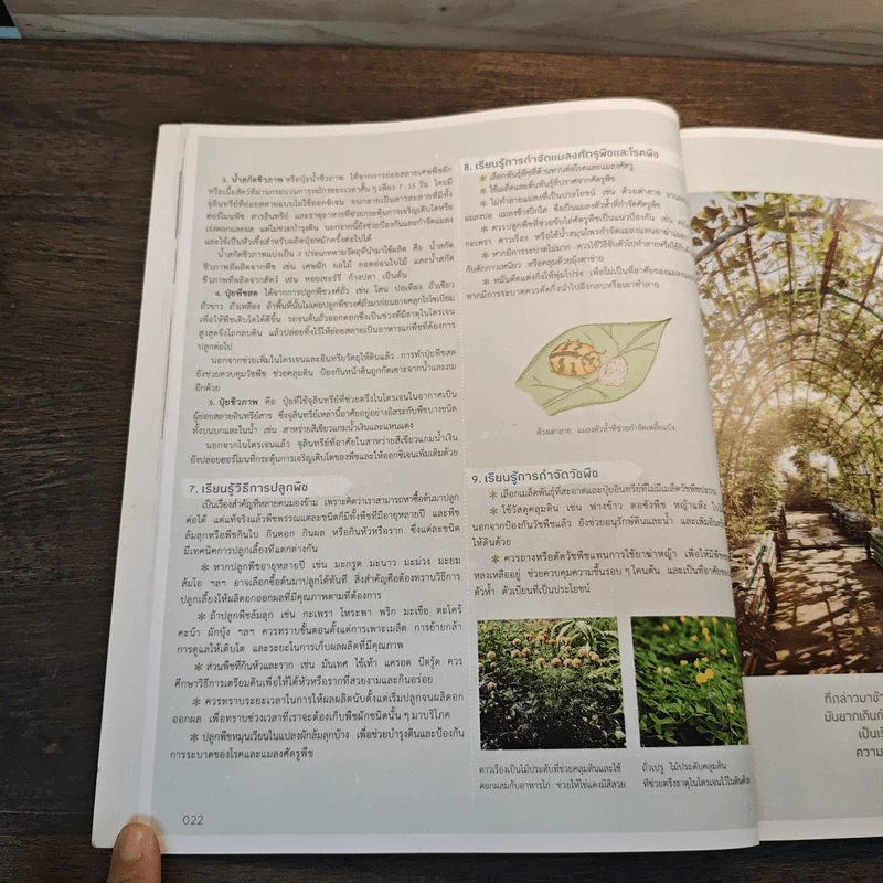 บ้านและสวน Garden & Farm สนุกกับสวนเกษตรอินทรีย์ รูปที่ 8