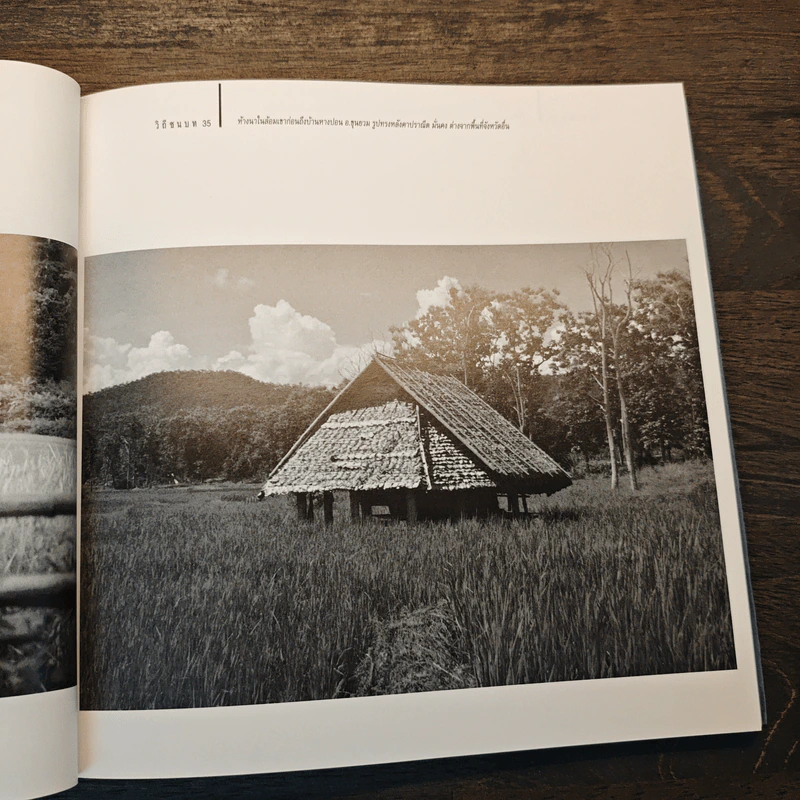วิถีชนบท - เปรื่อง เปลี่ยนสายสืบ รูปที่ 9