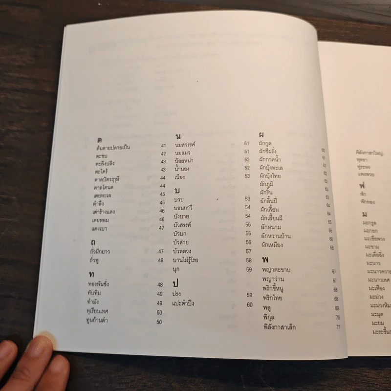 ผักแถวพื้น : แกงแถวบ้าน รูปที่ 8