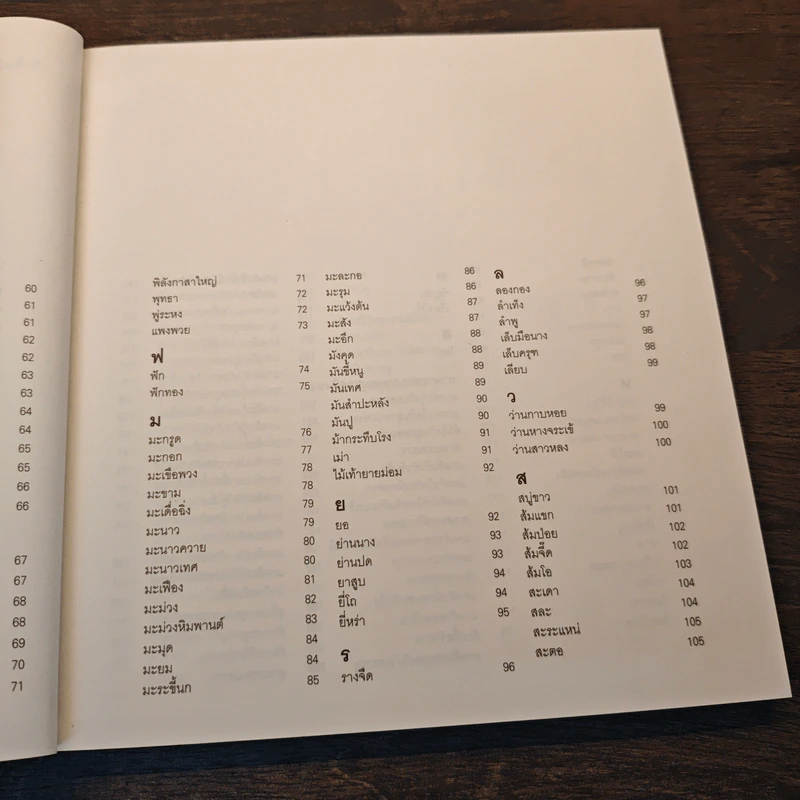 ผักแถวพื้น : แกงแถวบ้าน รูปที่ 9
